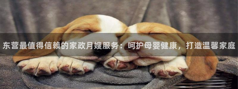 杏悦娱乐注册平台有哪些