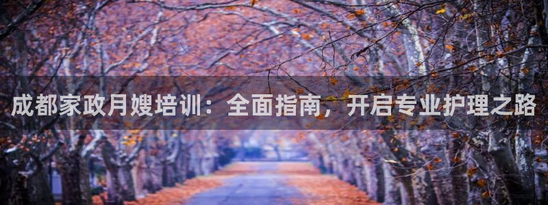 杏悦平台注册流程
