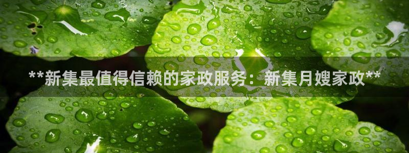 杏悦平台开户地址