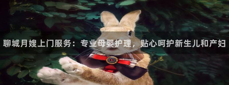 杏悦是什么