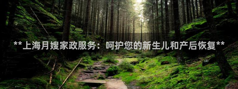 杏悦平台代理怎么赚钱快
