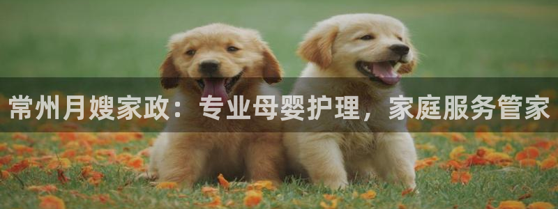 杏悦平台注册要钱吗