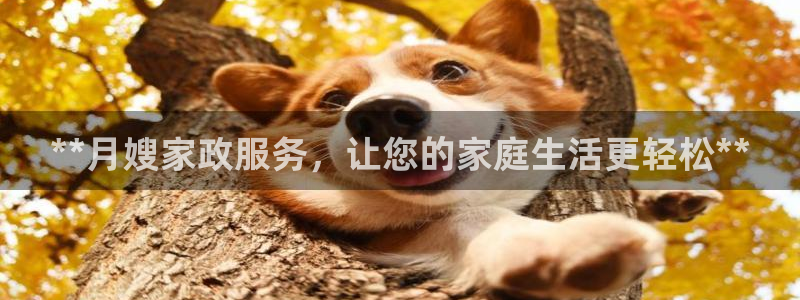 杏悦平台注册流程