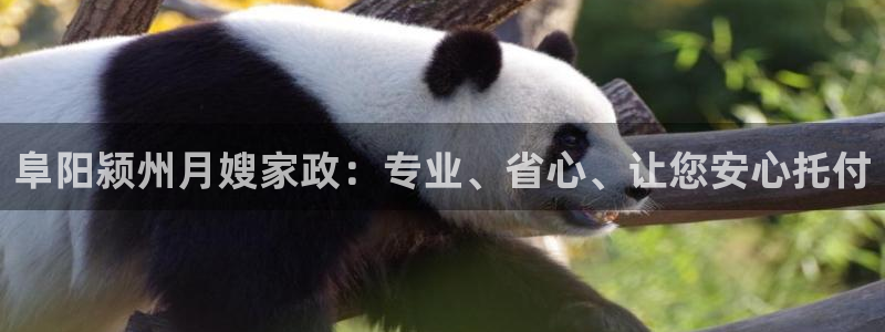 杏悦娱乐注册平台怎么样