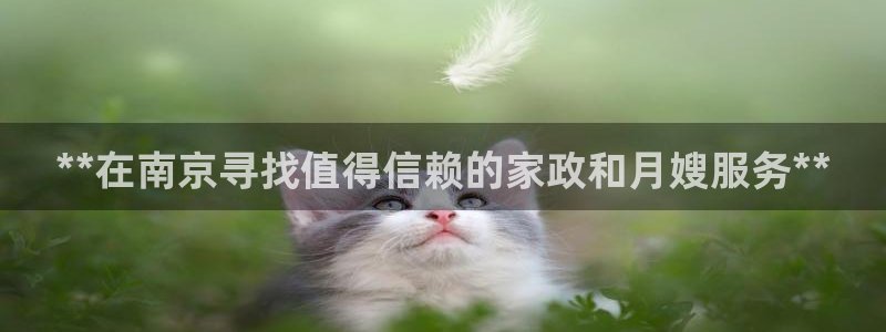 杏悦平台代理怎么样啊