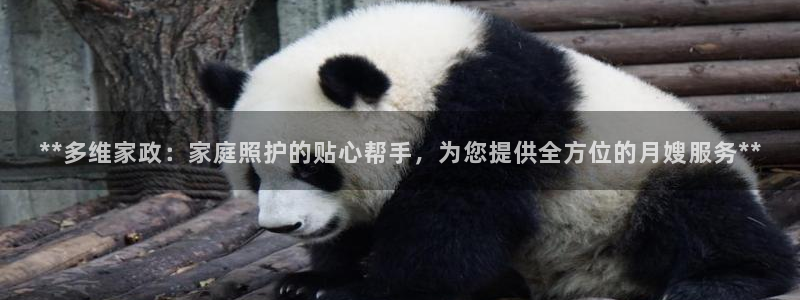 杏悦平台招商电话