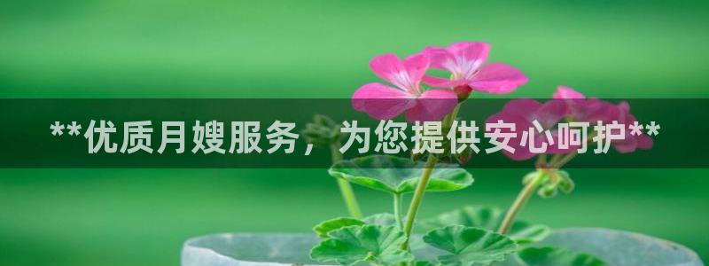 杏悦娱乐平台靠谱吗