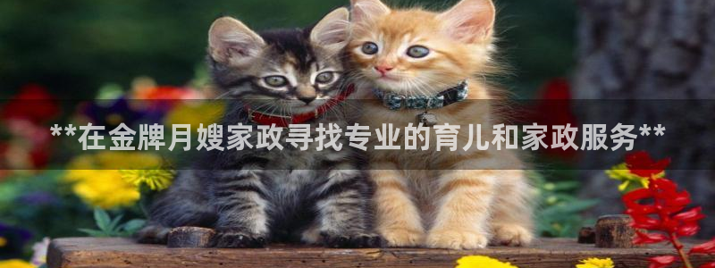 杏悦平台招商电话号码