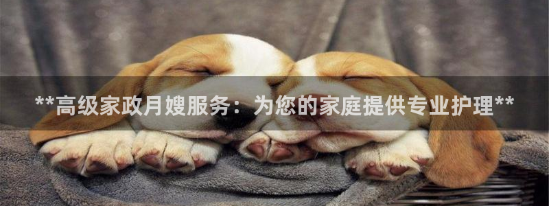杏悦平台代理注册