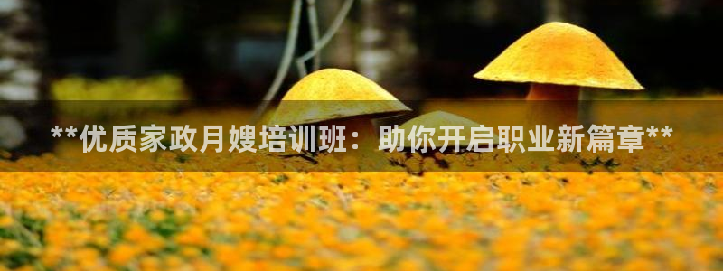 杏悦t首选推荐平台