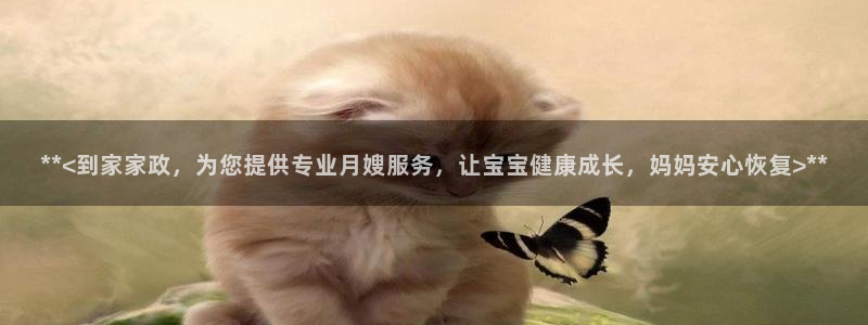 杏悦娱乐注册平台