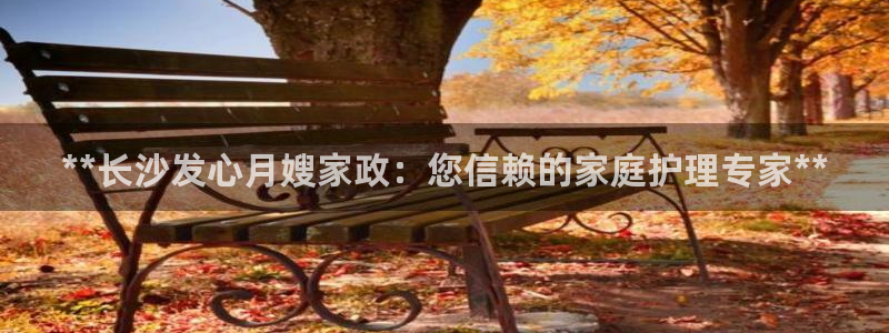 杏悦平台线路测速
