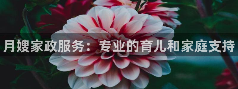 杏悦官网注册信息