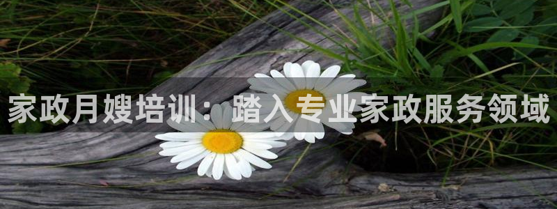 杏悦平台登录入口官网