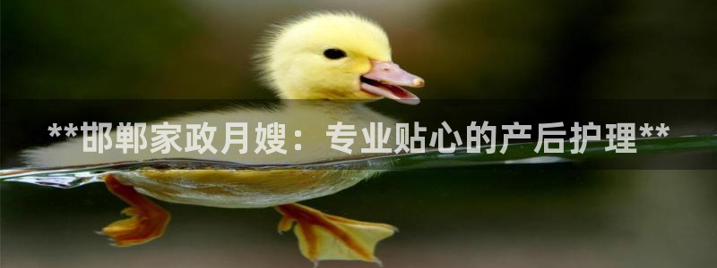 杏悦平台代理怎么赚钱