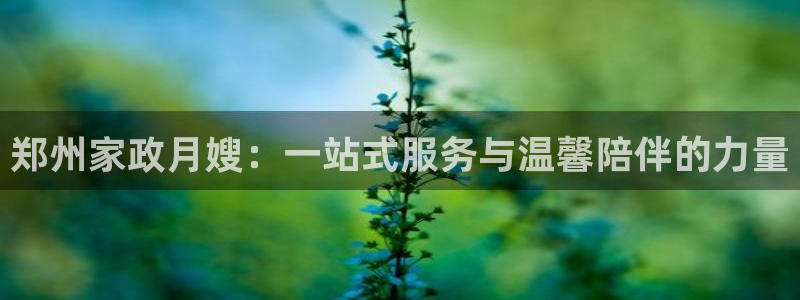 杏悦 -首选推荐平台