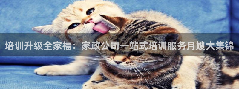 杏悦平台开户地址怎么改