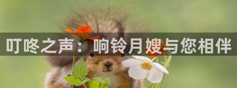 杏悦登入