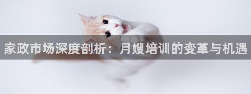 杏悦平台如何