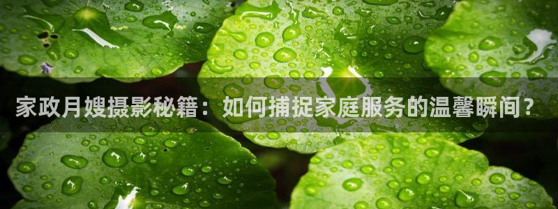 杏悦登陆地址