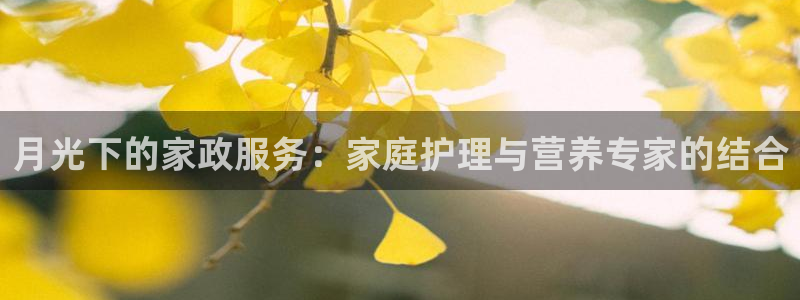 杏悦娱乐怎么玩