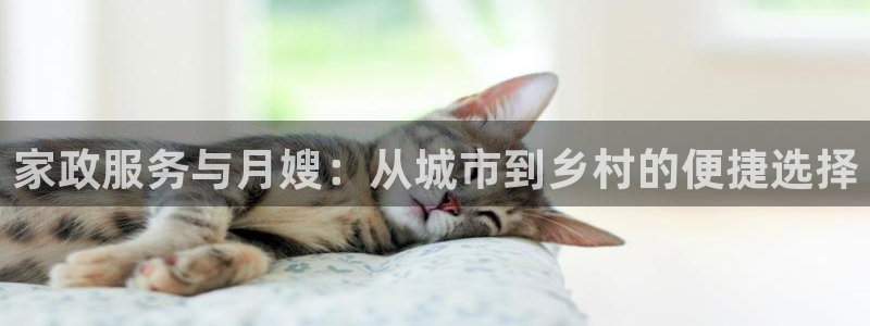 杏悦官方平台