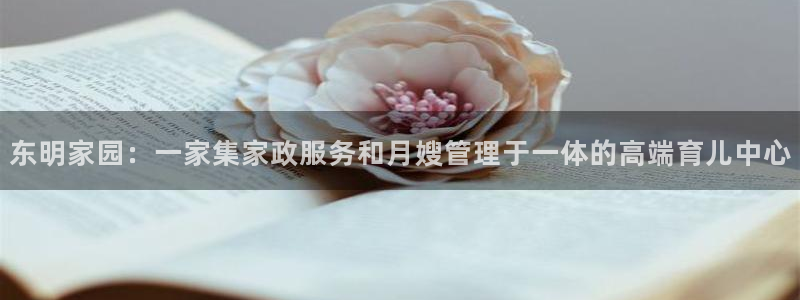 杏悦官方平台官网