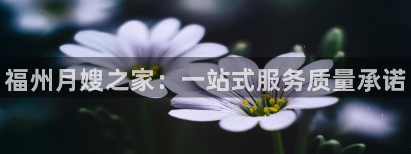 杏悦平台如何