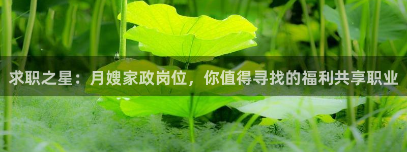 杏悦平台可靠吗是真的吗知乎