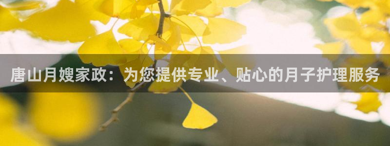 杏悦平台可靠吗可信吗安全吗