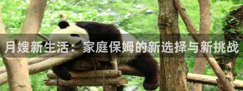 杏悦娱乐是什么