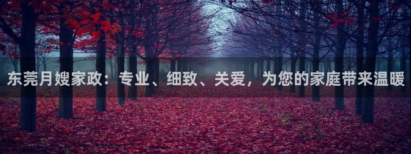 杏悦平台代理怎么做