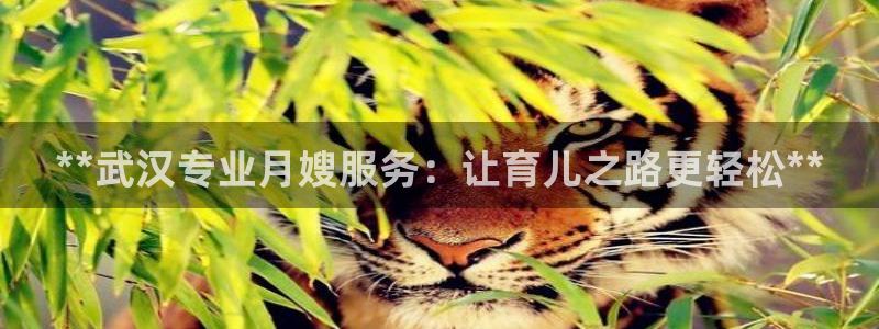 杏悦平台登录地址是什么