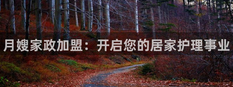 杏悦平台代理怎么赚钱的