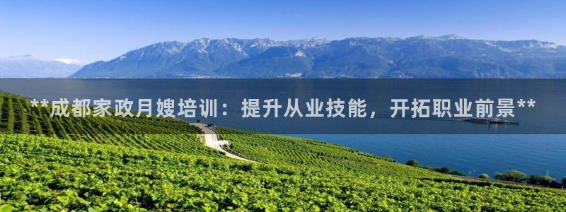 杏悦官网注册信息是什么样的