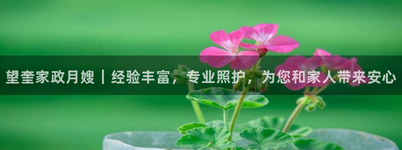 杏悦平台注册地址是哪里