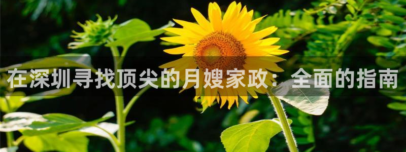 杏悦平台可靠吗可信吗安全吗