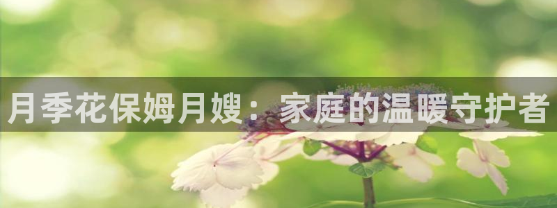 杏悦官网登录入口网址是什么