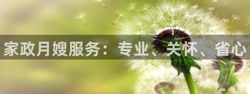 杏悦平台代理怎么赚钱的