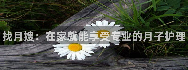 杏悦平台开户地址