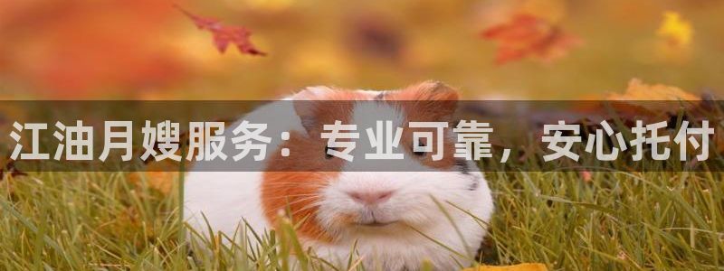 杏悦平台登录网址是什么