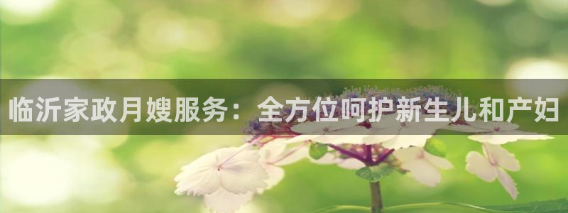 杏悦平台登录地址是什么