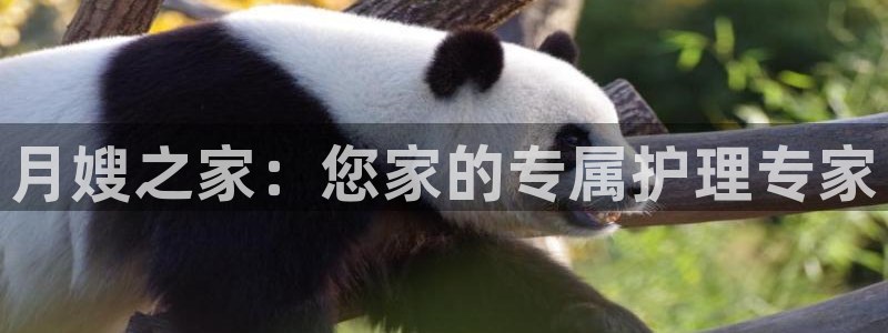 杏悦官网登录入口网址是什么