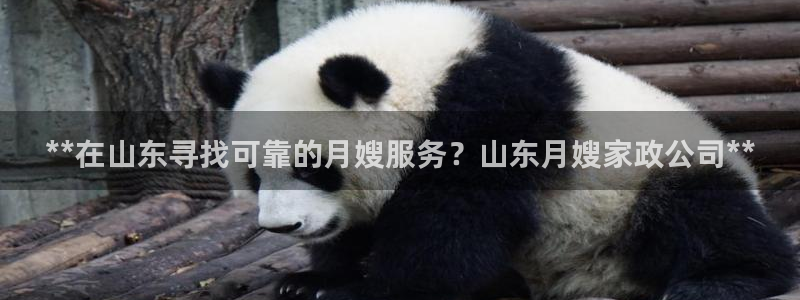 杏悦官网注册信息查询