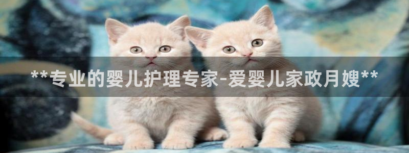 杏悦平台代理怎么赚钱快