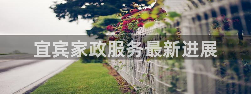 杏悦平台登录网址查询