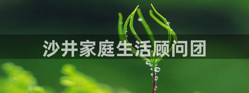 杏悦官方平台官网入口