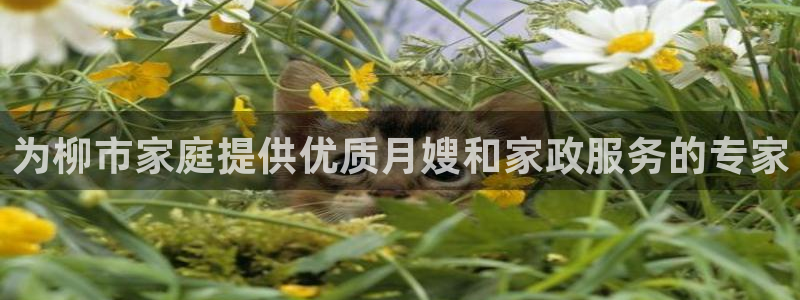 杏悦平台可靠吗是真的吗还是假的