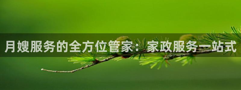 杏悦平台代理怎么样