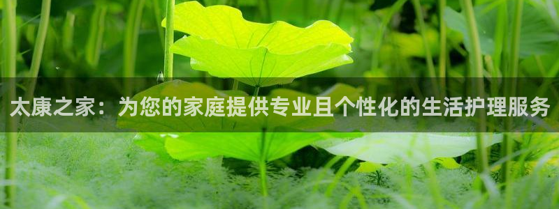 杏悦平台代理怎么赚钱